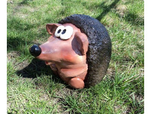 13.jpg