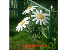 102266858_large_c.PNG