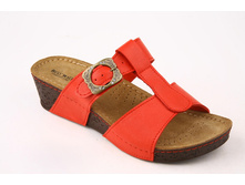 313062-05 ���� �����. �����.