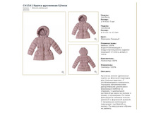 CH1541B	������ ���������� �/����	1 000�.