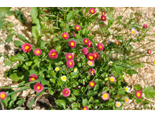 ����������.�����.