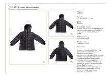 CH1533	������ ����������	1 000�.