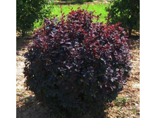 �������� ��������� �������.jpg