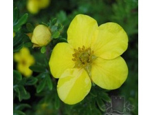 �������� ������������� ��������.jpg