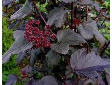 ������������� ������������� ������.jpg