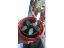2014-06-02 14.49.40.jpg