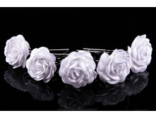 ������� - FO01901-1