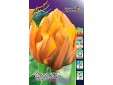 10,72���. ������� ������ (��� 10 ��. ���������� ������ 5��.).jpg