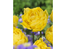 13,87���. ������� ������� ��� (��� 10 ��. ���������� ������ 5��.).jpg