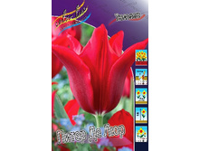 8,83���. ������� ����� �� ��� (���������� ������ ������ ���������� �� 10 ��.).jpg