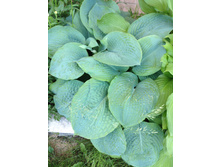 ����� 80�