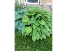 �����  80�