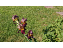 ���� ������.jpg