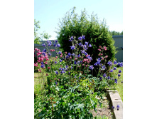 ���� ���������.JPG