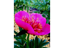 ���� ������������ 2.JPG