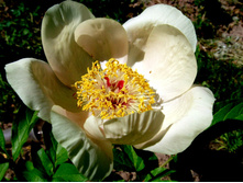 ���� ���������2.JPG