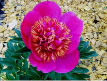 ������������