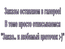����� 2.JPG