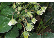 1 ����  2014 032.jpg