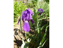 ���� ������.