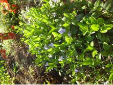 ��������. 20�.