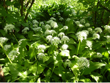 �������,�������� ���.50�