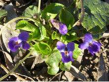 ������,���������,�� ����� ���������.