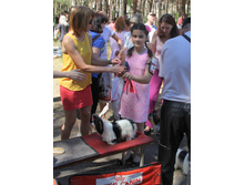1-IMG_0974.JPG