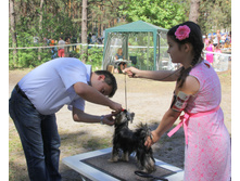 1-IMG_0990.JPG