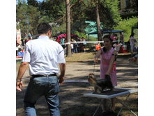 1-IMG_1022.JPG
