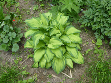 ����� 50�