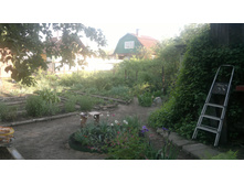 2014-05-24-982.jpg