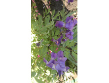 2014-05-25-989.jpg