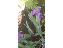 2014-05-25-991.jpg