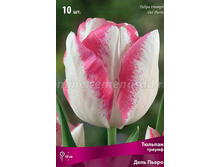 ���� ����� 111,65�