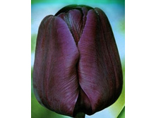 ������� 111,65�