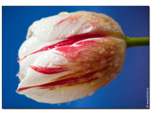 ����� ���������� 103,95�