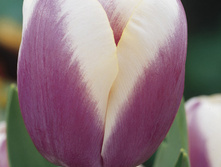 �������� 107,8 ���.jpg