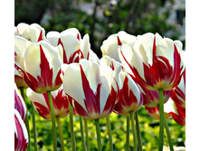 ����� �������� 130,9 ���.jpg