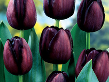 ���� �� ���� 92,4 ���.jpg