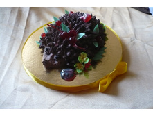 ���� ����