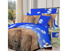 c70117 ���.jpg