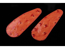 ���� ���� - NS00055-2