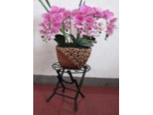 ��������� ��� �������� (��������) ���� 625 ���.jpg