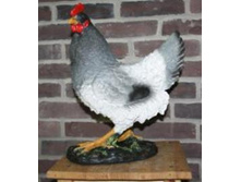 ������� ������ (�����).jpg