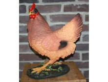 ������� ������ (�����).jpg