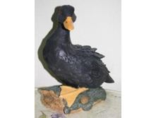 ������� ���� �� ������ ������.jpg