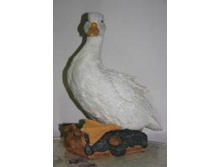 ������� ���� �� ������.jpg