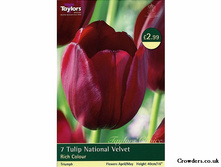 ����� ������� 138,6 ���.jpg