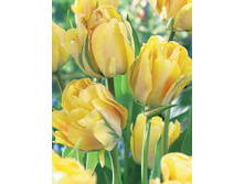 ������� 138,6�